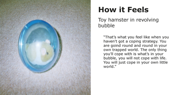 hamster